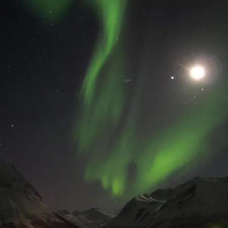 Feriehus 5 Star In Tengelfjord